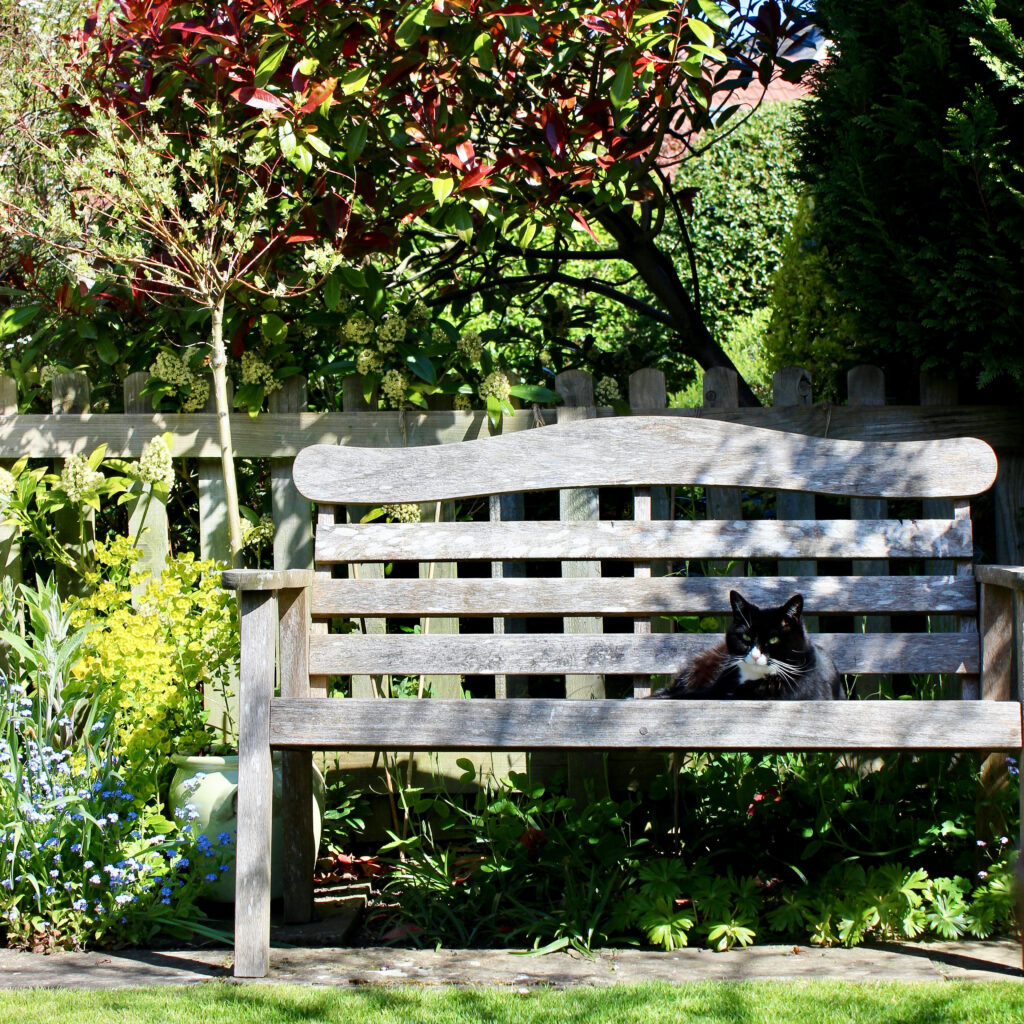Letting your property: Garden